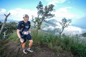 BIB: 8135
                            <button type="button" onclick="openModal(22371792)" class="btn btn-primary btn-sm float-right btn-popup" data-toggle="modal" data-target=".modal-high-quality">
                        <i class="fas fa-shopping-cart"></i> Add to Cart
                    </button>
                                            <button type="button" onclick="isThisMe(22371792, true)" class="btn btn-success btn-sm float-right btn-popup btn-isme hidden" data-toggle="tooltip" data-placement="bottom" title="นี่คือรูปของคุณใช่ไหม คลิกที่นี่เพื่อเอาเข้าอัลบั้ม">
                        <i class="fas fa-plus"></i> Add to album
                    </button>
                    <button type="button" onclick="isThisMe(22371792, false)" class="btn btn-warning btn-sm float-right btn-popup btn-isnotme hidden">
                        <i class="fas fa-ban"></i> Remove from album
                    </button>